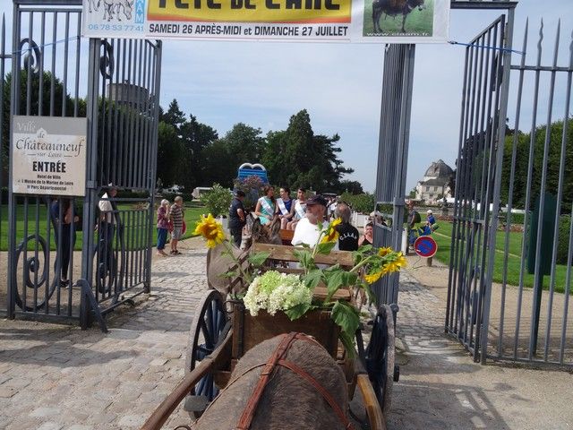 fete ane 2014 (23).jpg